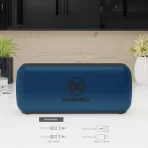 Maxbeat-speaker